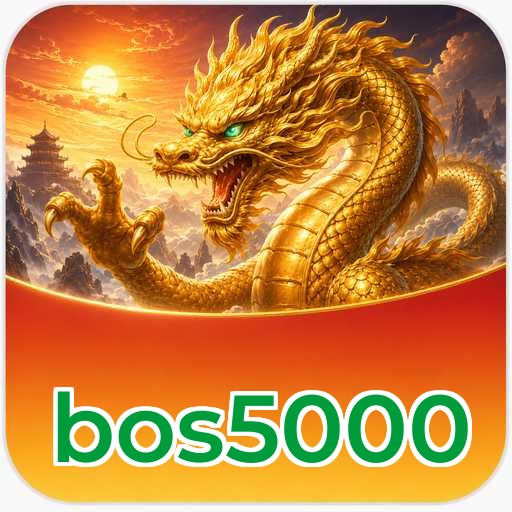 Troubleshooting bos5000